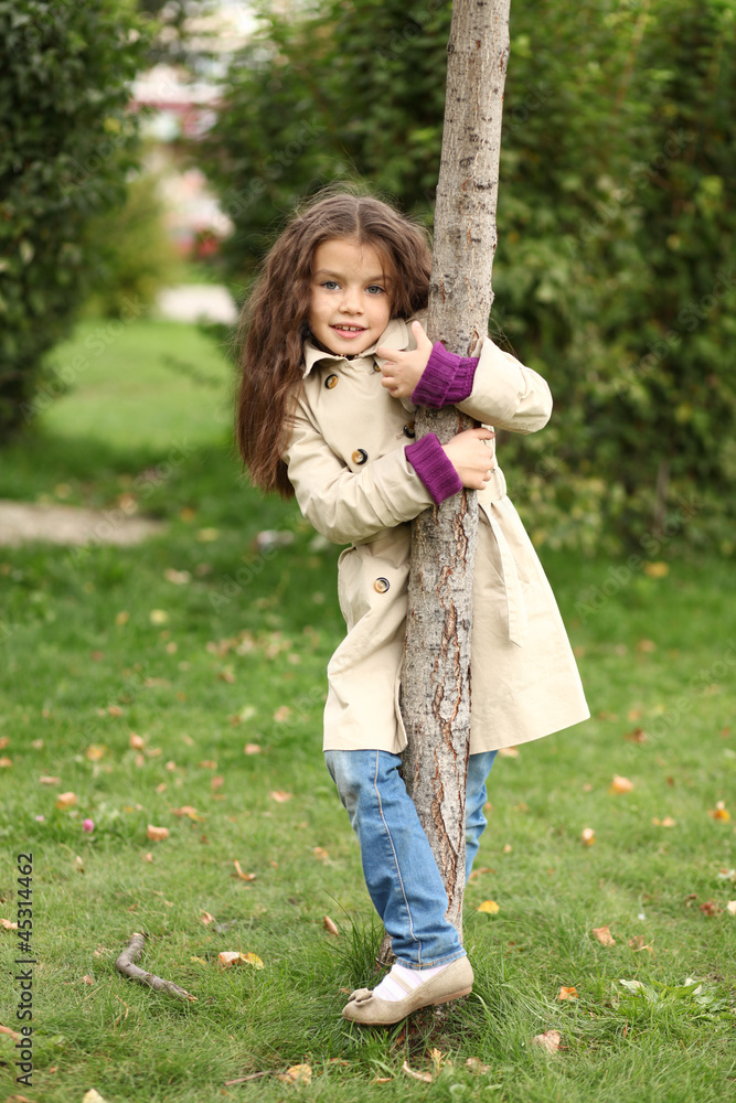 little girl in the autumn park little girl in the autumn park