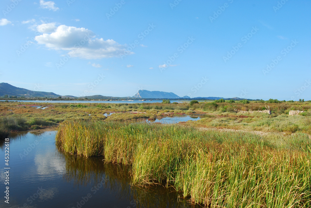 The pond of San Teodoro - Sardinia - Italy - 581