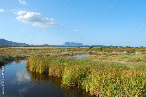 The pond of San Teodoro - Sardinia - Italy - 581 © francovolpato