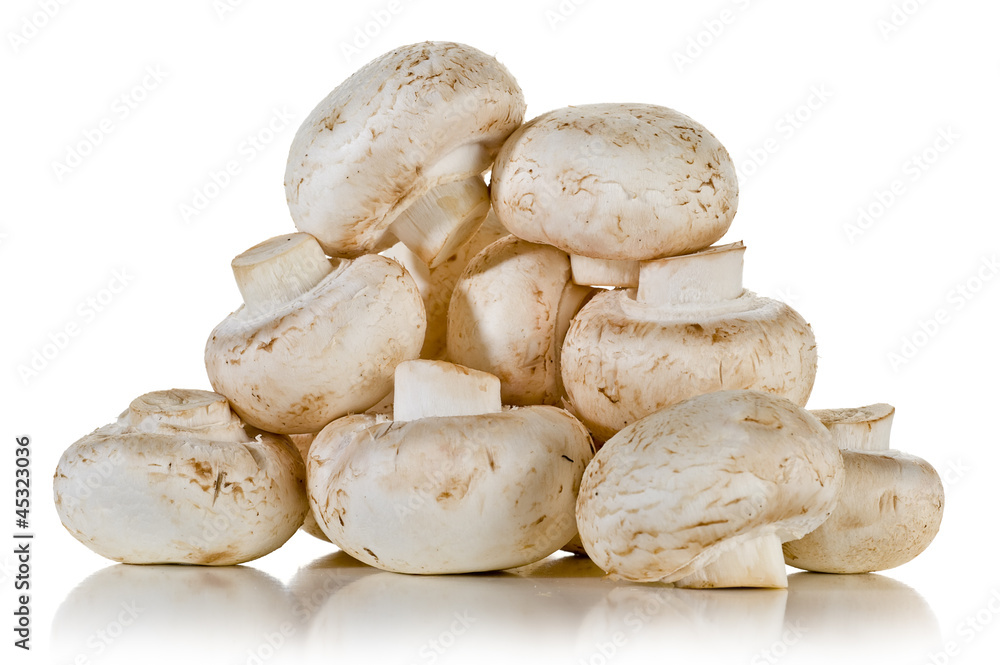 Fototapeta premium Mushrooms