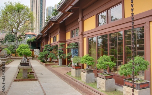 jardin de bonsai à hong kong