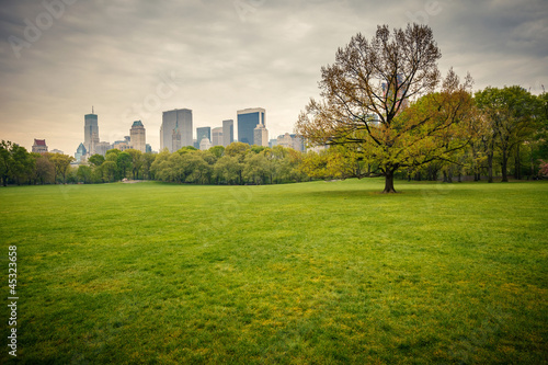 Central park at rainy day