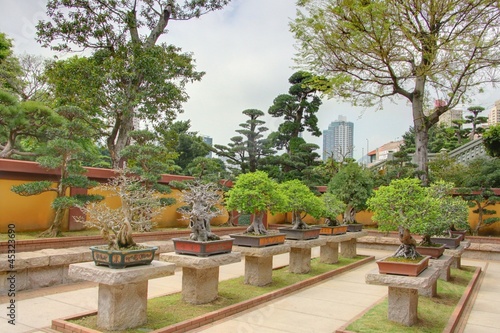 jardin de bonsai    hong kong