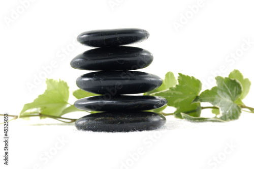 Black Stones with green leafs