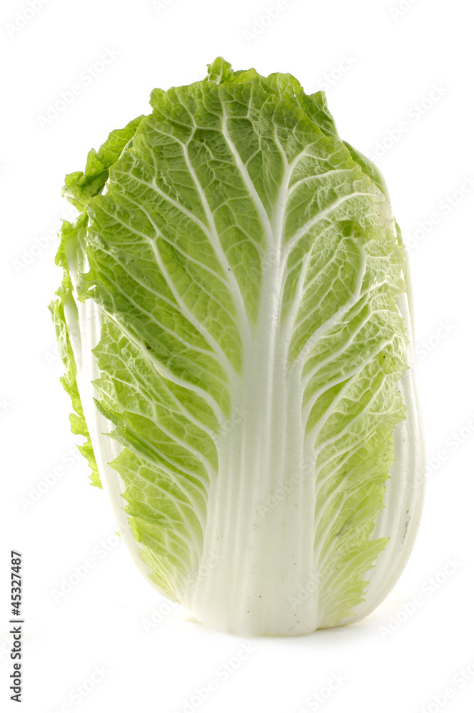 The big fresh Chinese cabbage The big fresh Chinese cabbage