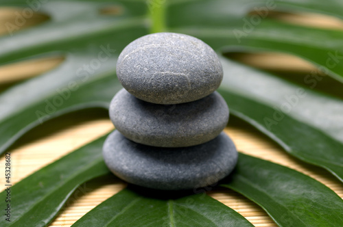 Stack of stone with green leaf