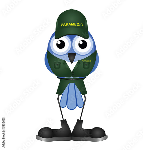 Bird healthcare paramedic