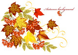Autumn background with realistic leafs