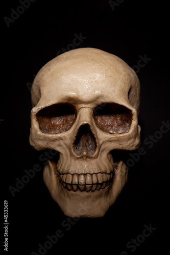 Menschlicher Totenschädel auf schwarzem Hintergrund photo