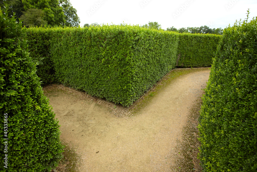geometric pattern of green hedge flowerbed geometric pattern of green hedge flowerbed