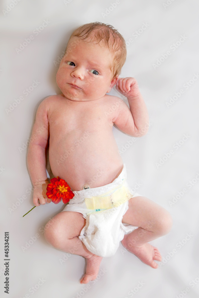 newborn baby holding orange flower of garden to Mother's Day newborn baby holding orange flower of garden to Mother's Day