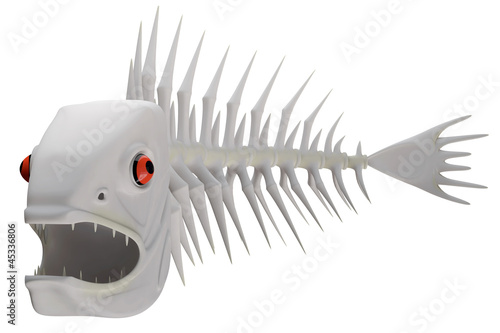 skeleton of a fish