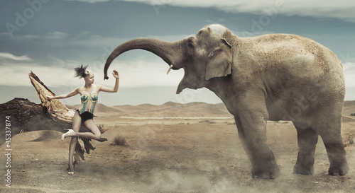 Photography Sexy fashionable lady with elephant