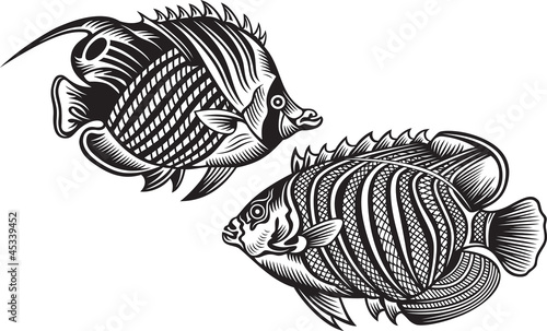 Decorative fish