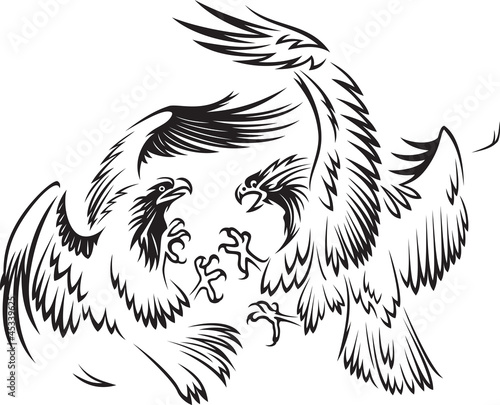 Fighting birds