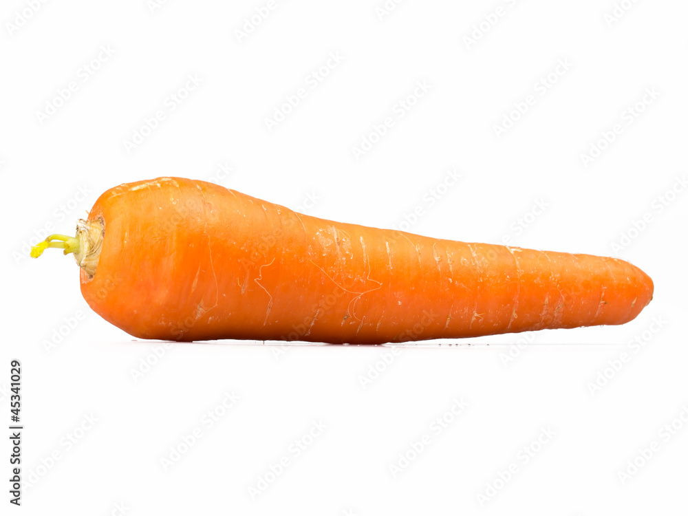 fresh carrot fresh carrot