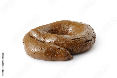 Bilde på lerret Toy, Fake, Poo