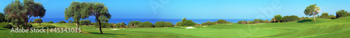 Panorama of Golf field, sea and olives