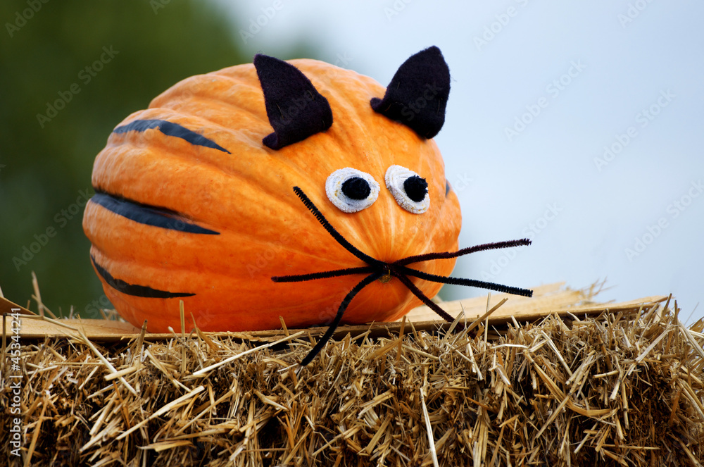 Fototapeta premium pumpkin mouse on a bale of straw