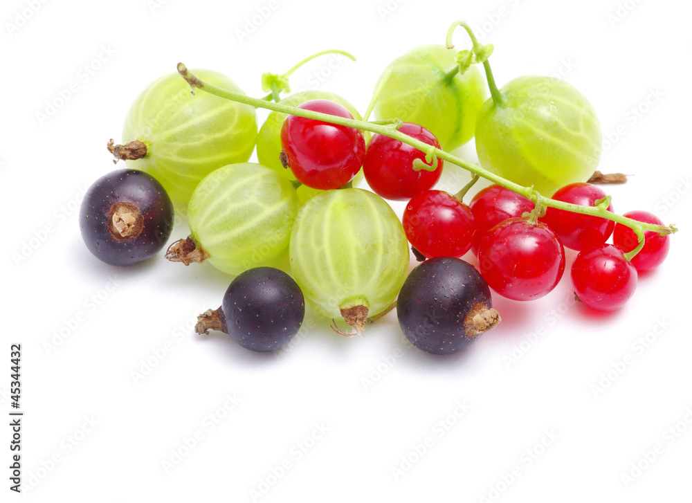 berries berries