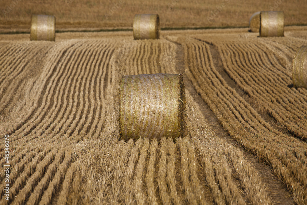 Feld mit Strohballen