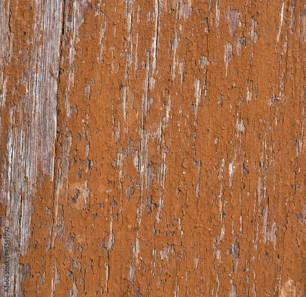 texture texture
