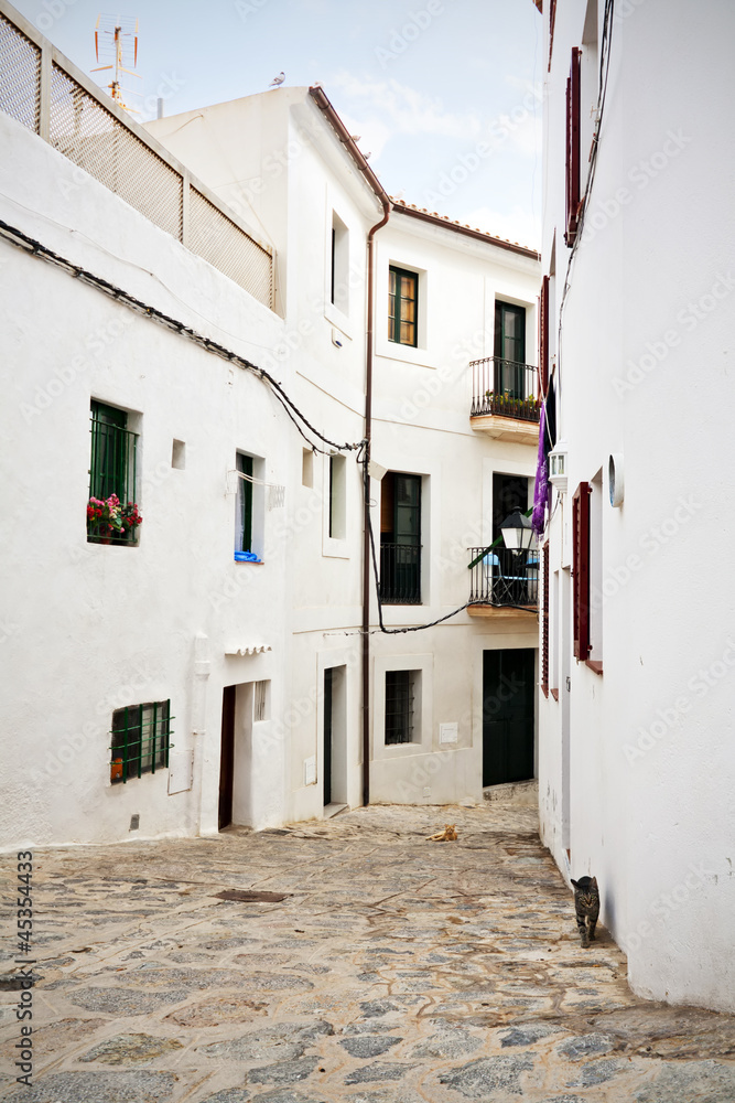 Fototapeta premium Ibiza back street