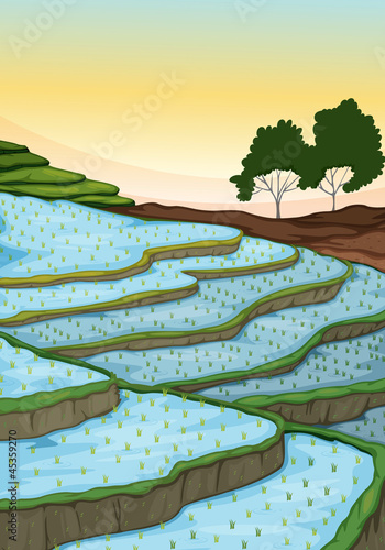 layered farm on hill