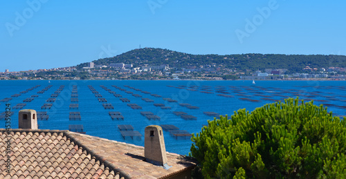 Sète Parcs à Huitres