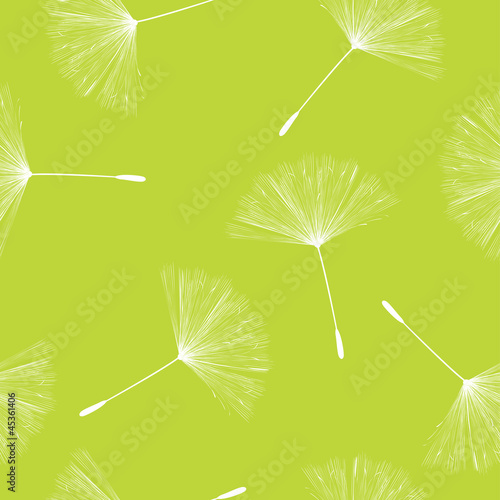 Dandelion seeds pattern