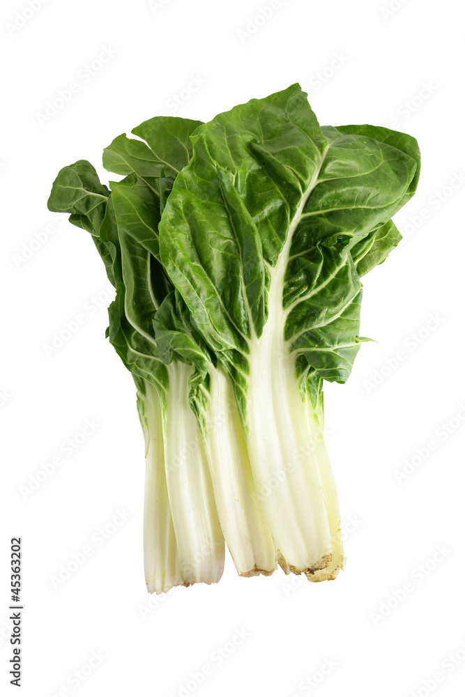 Bok choi