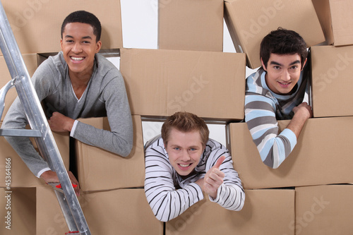 trio of male flatmates moving in photo