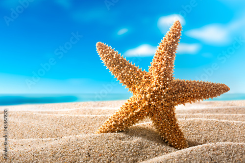 Fototapeta Naklejka Na Ścianę i Meble -  Starfish on the beach