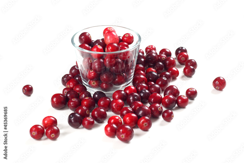 Fresh cranberries Isolated on white Fresh cranberries Isolated on white
