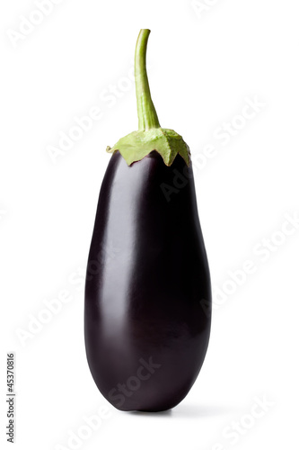 Fresh vegetable eggplant