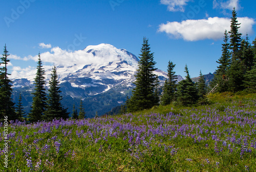 Mount Rainier