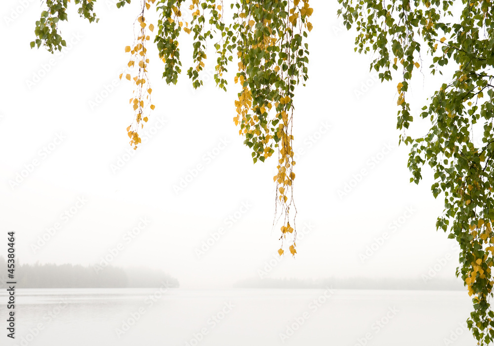 Naklejka premium Foggy morning on the river with birch branches