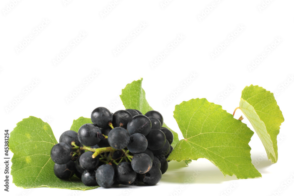 Obraz premium Weintrauben blau