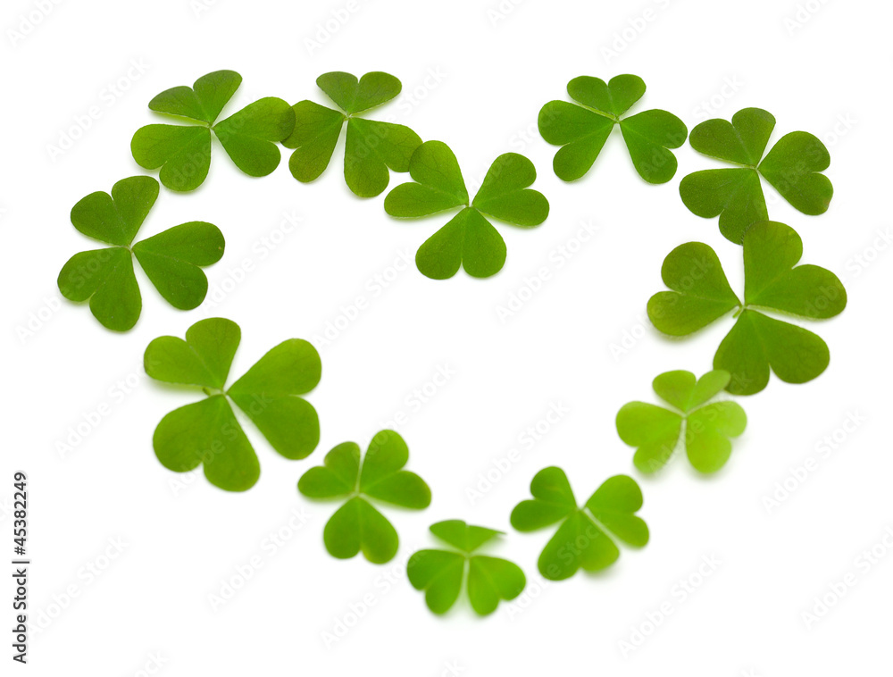 heart made of clover heart made of clover