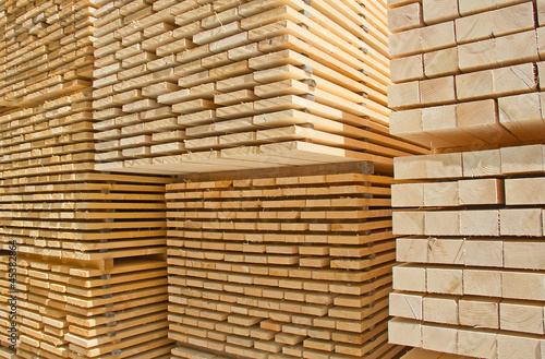 Fotografie Fresh wooden studs