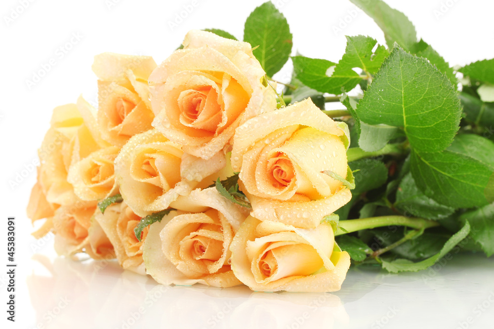 beautiful bouquet of roses isolated on white beautiful bouquet of roses isolated on white