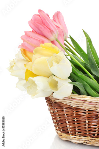 Fototapeta Naklejka Na Ścianę i Meble -  beautiful tulips in basket isolated on white.