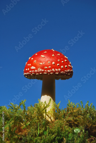 Wallpaper Mural Fliegenpilz12 Torontodigital.ca