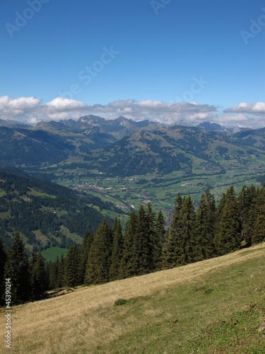 Meadow, Forest And Village Named Saanen