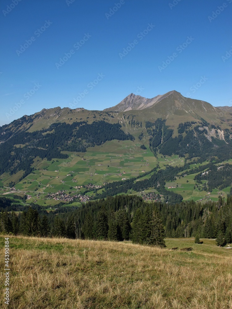 Obraz premium Lauenen