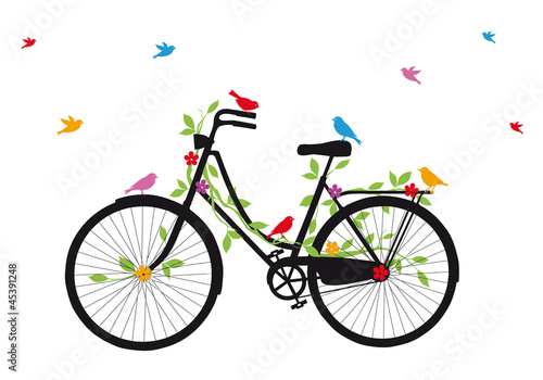 old bicycle with birds, vector photo