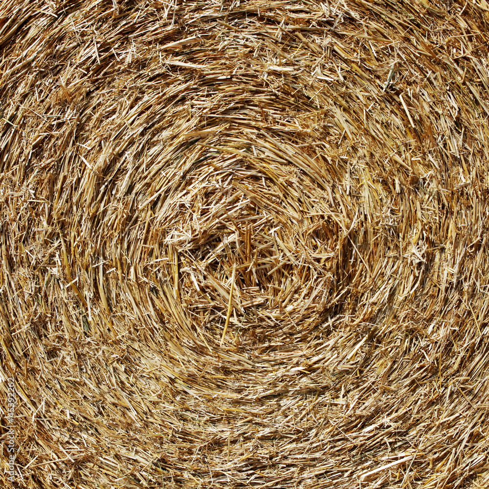 Straw hay Straw hay