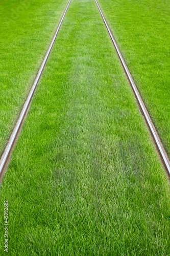 Tram tracks surrounded by green grass