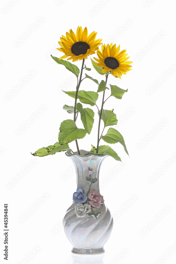 Sonnenblumen in Vase Sonnenblumen in Vase