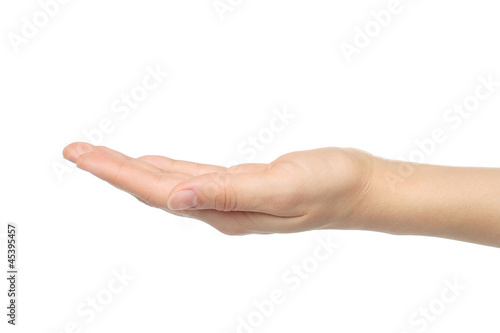 Wallpaper Mural Open woman hand on white background Torontodigital.ca